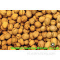 Hot Sale Goods Walnut Kernels Light Pieces